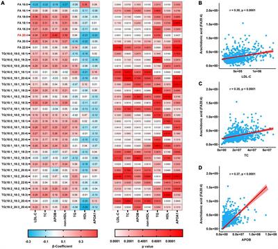 Arachidonic acid is associated with dyslipidemia and cholesterol-related lipoprotein metabolism signatures